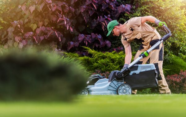Lawn Care And Maintenance in Everett