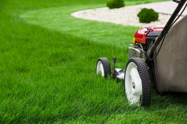Mowing Service in Everett