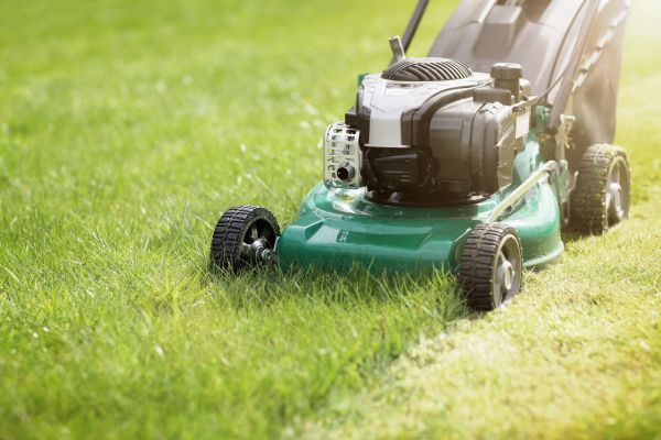Cost of Yard Cutting in Everett