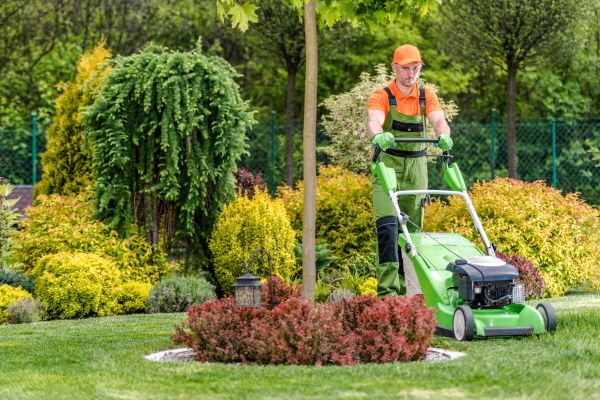 Yard Service in Everett