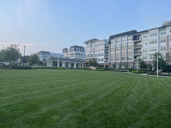 Cost of Urban Lawn Care in Everett