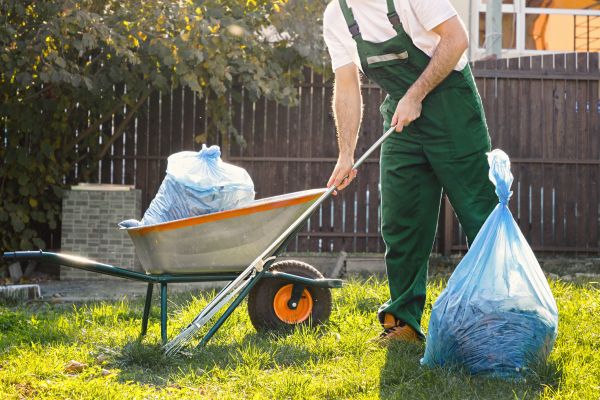 Yard Cleaning in Everett
