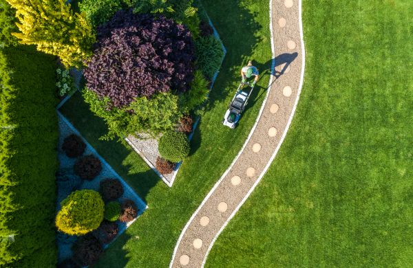 Cost of Mowing And Landscaping in Everett
