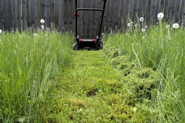 High Grass Mowing in Everett
