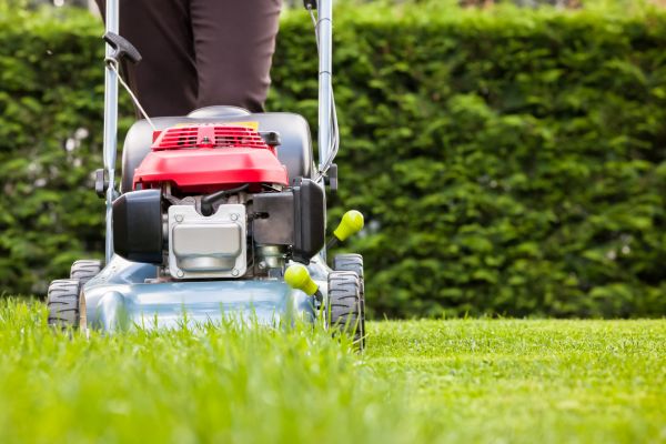 Grass Trimming Service in Everett