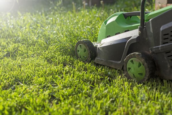 Cost of Yard Trimming in Everett