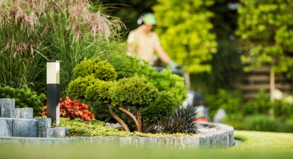 Residential Yard Maintenance in Everett