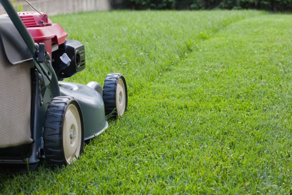 Spring Lawn Maintenance in Everett
