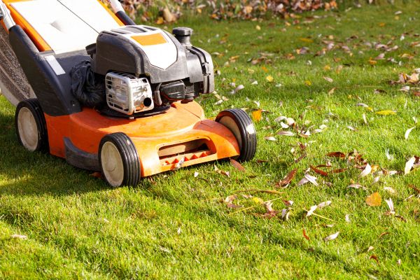 Cost of Fall Mowing in Everett