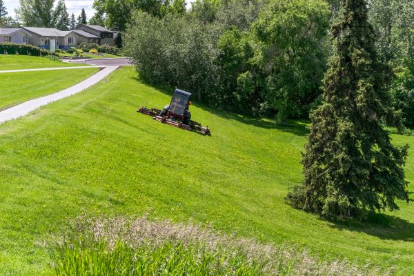 Cost of Sloped Area Mowing in Everett