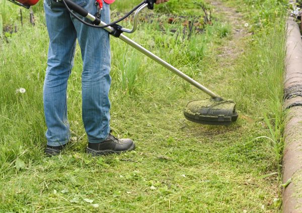 Cost of Tall Grass Trimming in Everett